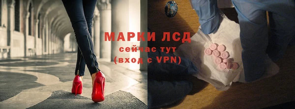 винт Лабытнанги