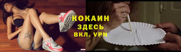 винт Лабытнанги