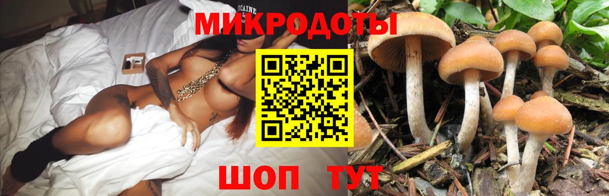 где купить наркоту  Псилоцибиновые грибы Cubensis  Белая Калитва  Галлюциногенные грибы GOLDEN TEACHER 