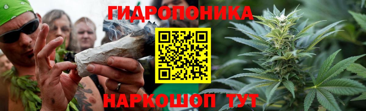 Каннабис конопля  Белая Калитва  Конопля THC 21%  Марихуана сатива 